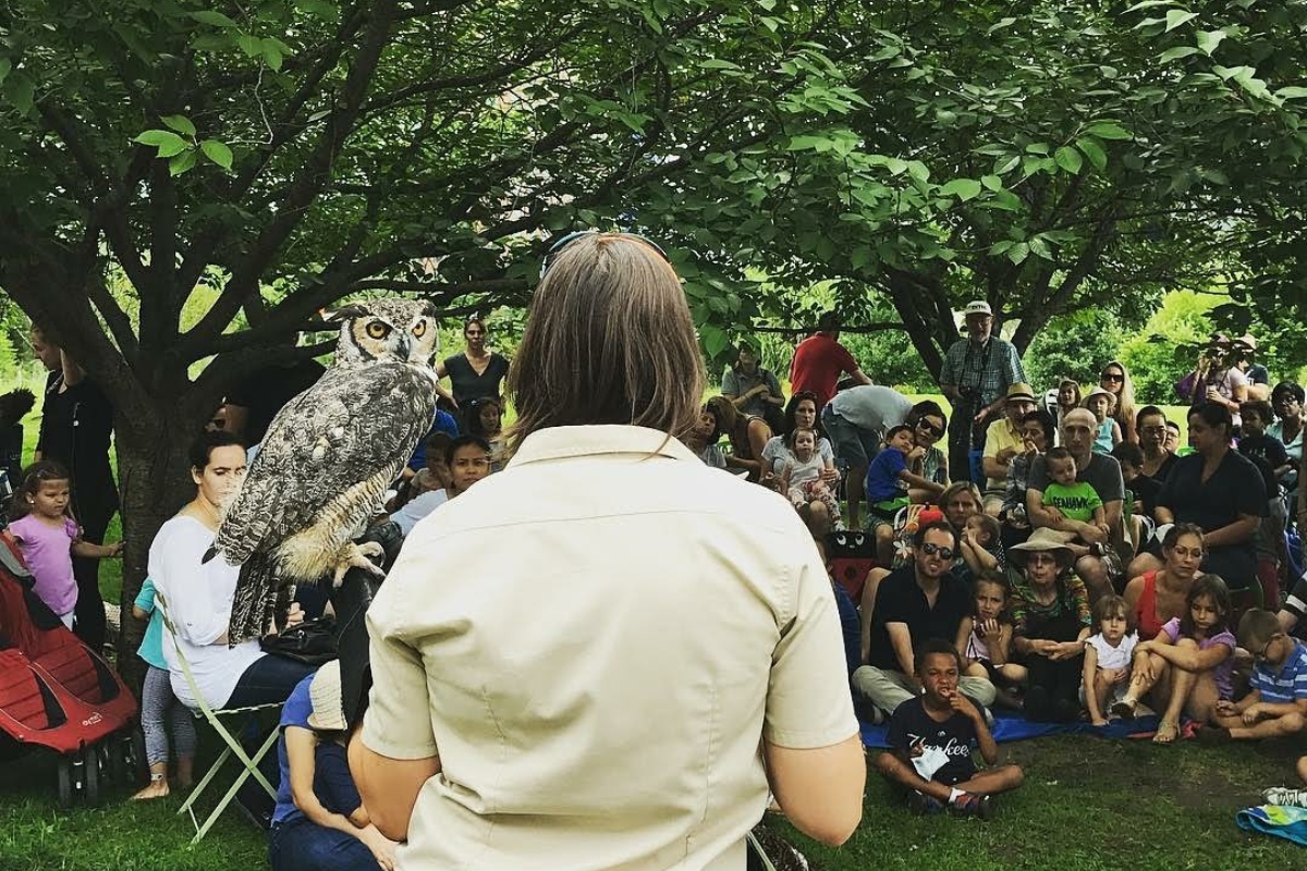 CLOSED - Friday Night Lecture: Birds of Prey, Calendar Meeting List