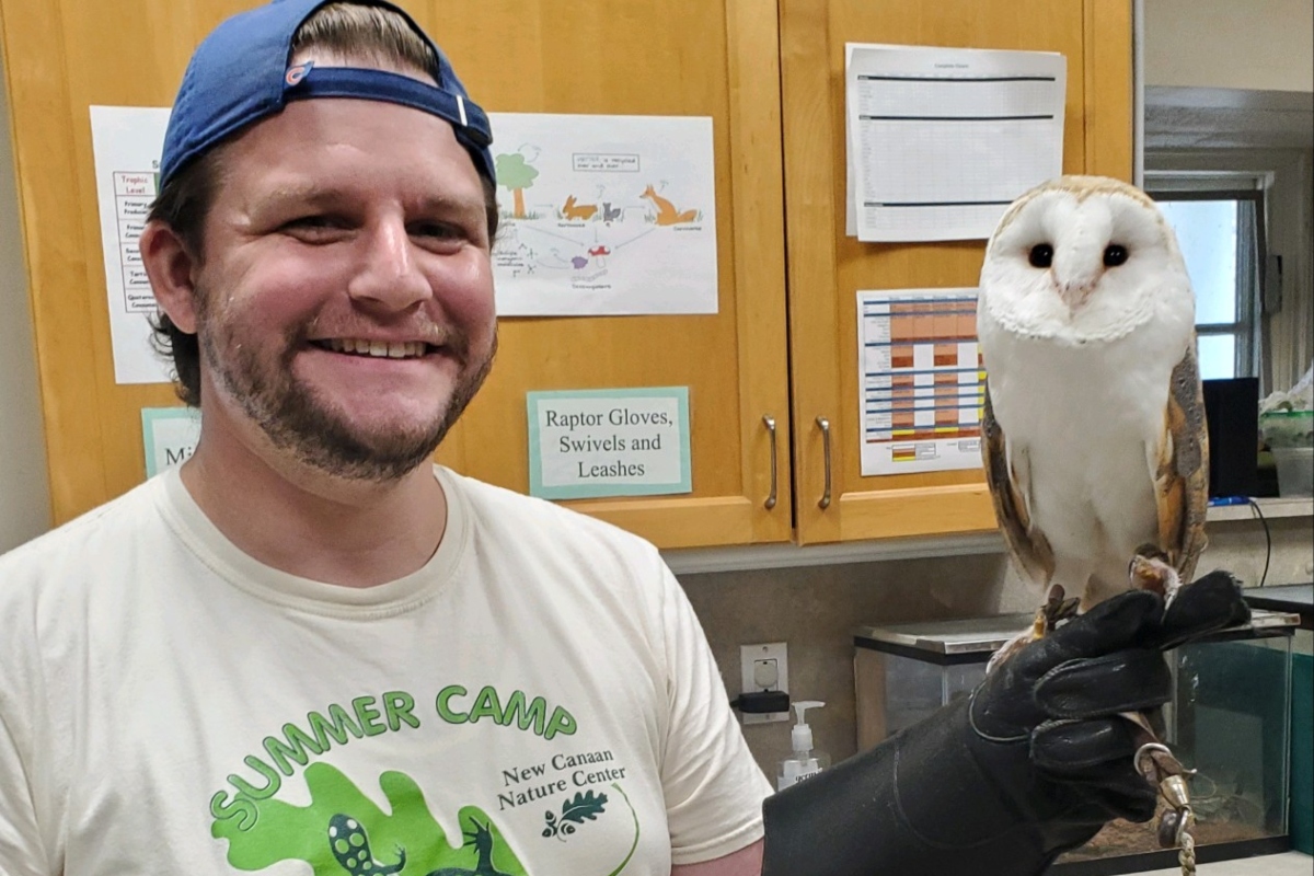 Wildlife Show” – Birds of Prey