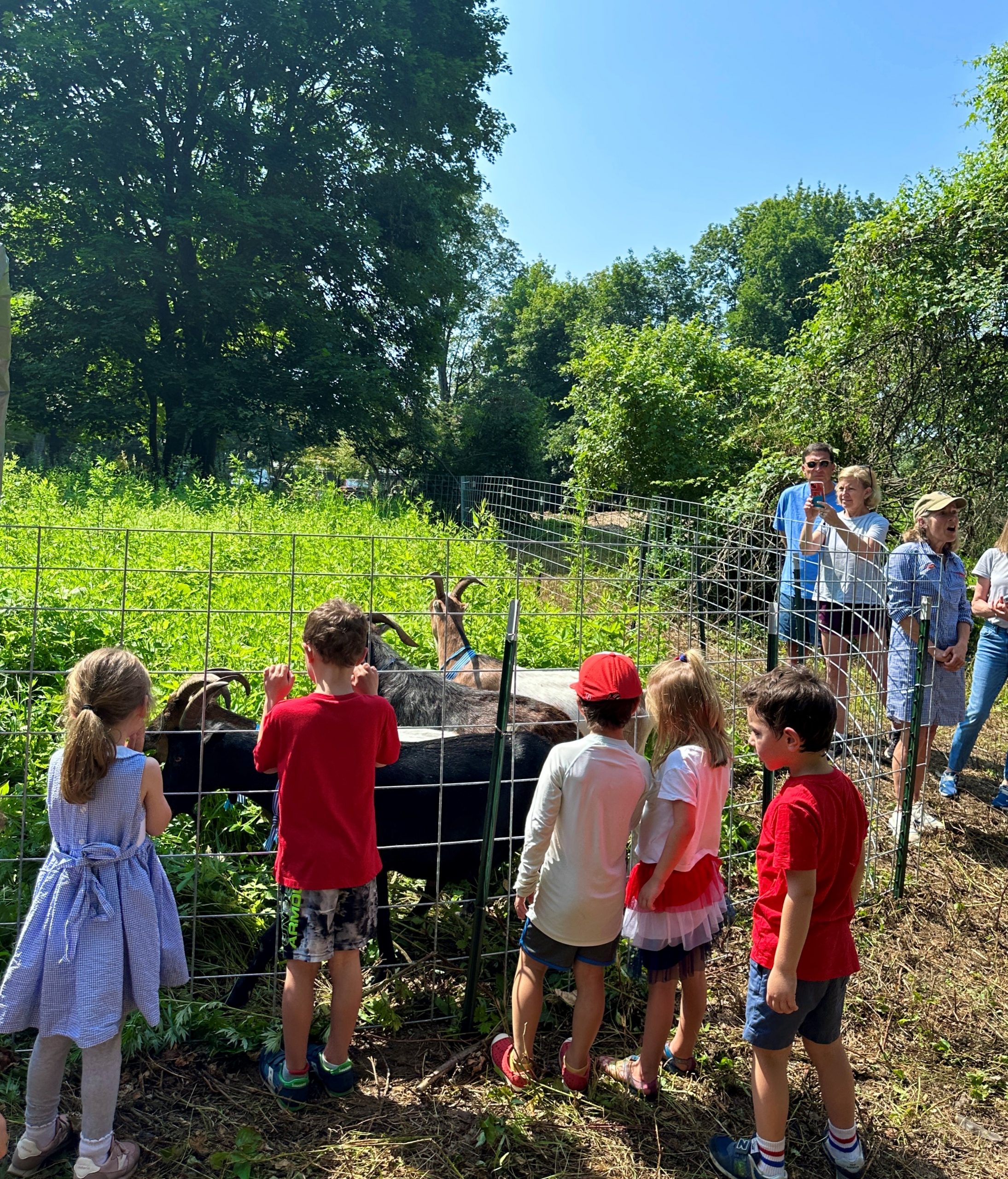 New Canaan Nature Center | Nature, Education | New Canaan, CT